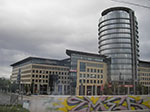 IMGP3449.jpg