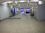 IMGP3451.jpg