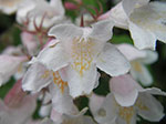 IMGP3506.jpg