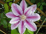 IMGP3535.jpg