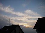 IMGP3561.jpg
