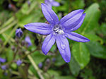 IMGP3723.jpg