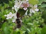 IMGP3734.jpg