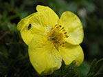 IMGP3741.jpg