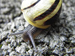 IMGP3751.jpg