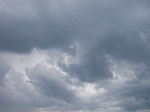IMGP3763.jpg