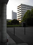 IMGP3781.jpg