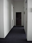 IMGP3793.jpg
