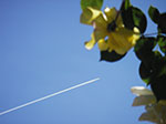 IMGP3869.jpg