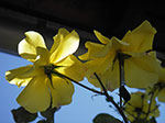 IMGP3876.jpg