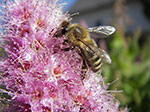IMGP3895.jpg