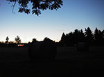 IMGP3929.jpg