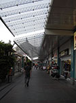IMGP3971.jpg