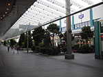 IMGP3974.jpg
