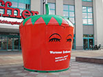 IMGP3975.jpg