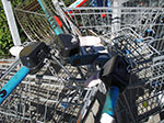 IMGP4009.jpg