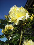 IMGP4033.jpg