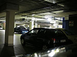 IMGP4040.jpg