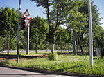 IMGP4128.jpg