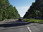 IMGP4130.jpg