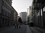 IMGP4245.jpg