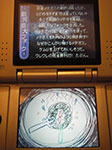 IMGP4256.jpg