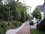 IMGP4257.jpg