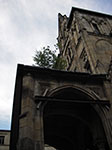 IMGP4259.jpg
