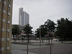 IMGP4271.jpg