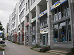 IMGP4291.jpg