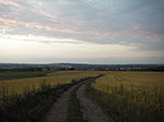IMGP4422.jpg