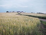 IMGP4434.jpg