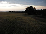 IMGP4448.jpg