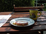 IMGP4472.jpg