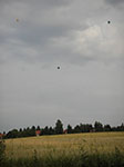IMGP4475.jpg