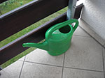 IMGP4488.jpg