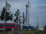IMGP4533.jpg