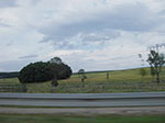 IMGP4535.jpg