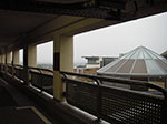 IMGP4548.jpg