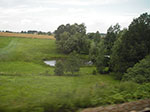 IMGP4558.jpg