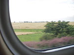 IMGP4561.jpg