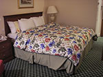 IMGP4628.jpg