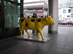 IMGP4663.jpg
