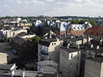 IMGP4685.jpg
