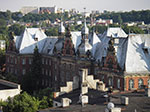 IMGP4698.jpg
