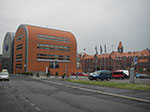 IMGP4774.jpg