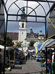 IMGP4841.jpg