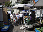 IMGP4842.jpg