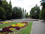 IMGP4864.jpg