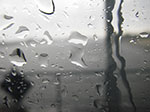IMGP4884.jpg